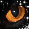 deborah_reed